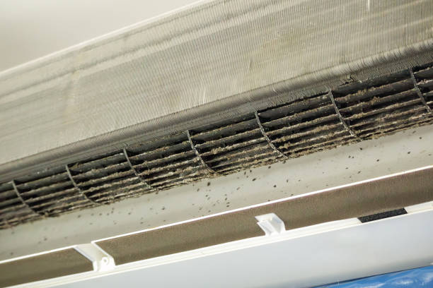 Best Emergency Air Duct Cleaning  in Dunwoody, GA